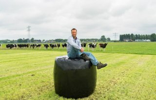 Sterk+staaltje+van+mosterd+na+de+maaltijd