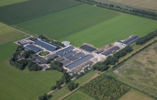 Schothorst+vaker+voor+buitenland+actief