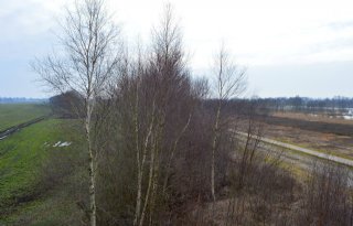 Boeren+bij+Bargerveen+willen+droge+voeten