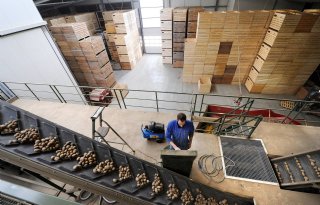 Boeren+in+Groningen+ontvangen+2+miljoen+euro