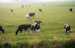 GroenLinks+wil+met+boeren+Achterhoek+samenwerken