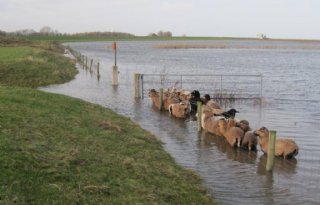Hollandse+Delta+betrekt+agrari%C3%ABrs+bij+aanpak+wateroverlast