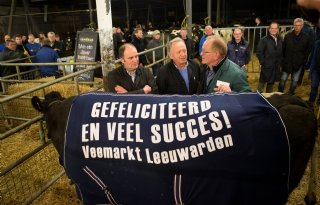 Goede+prijs+koeien+bij+hoge+aanvoer+in+Leeuwarden