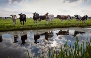 Goed+voorbereid+door+de+Gecombineerde+opgave
