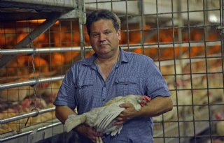 %27Te+veel+framing+van+veehouderij%27