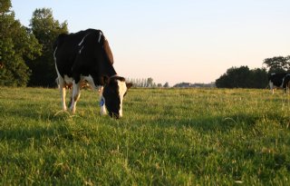 Vruchtbare+Kringloop+breidt+uit+in+Gelderland