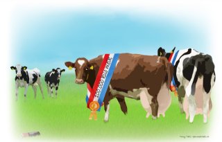 %27Laatbloeiers+blijven+langer+lopen+dan+snelle+starters%27
