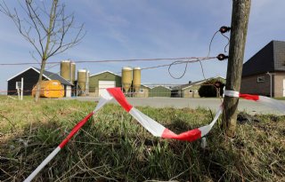 Sector+is+voorstander+van+regionaal+ophokken