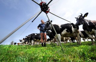 %27Vers+gras+voeren+brengt+ons+veel%27