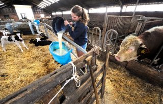 Een+op+tien+werkt+in+werkt+in+Friese+agrifood