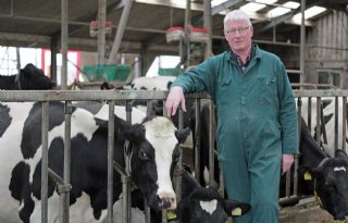Mycoplasma+bovis+snel+door+hele+veestapel