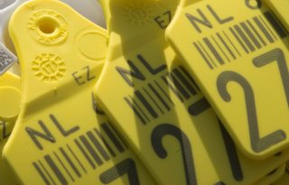 Nog+eens+op+102+bedrijven+in+beeld+bij+I%26amp%3BR%2Donderzoek