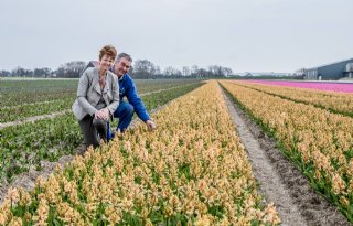 M%2EC%2E+Zonneveld+gaat+voor+duurzame+bedrijfsvoering