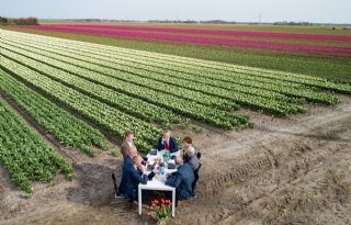 Tulpenveld+Ens+inspireert+gemeentebestuurders