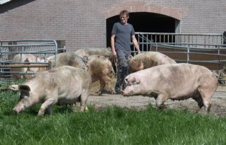 %27Gras+vervangt+kilo+zeugenbrok+per+dag%27