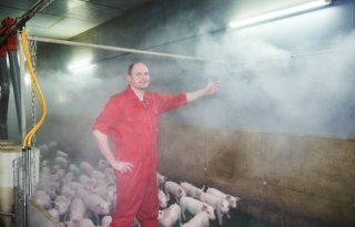 Professor+noemt+longen+zwakke+punt+van+een+varken
