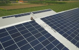 Netwerk+remt+zonne%2Denergie