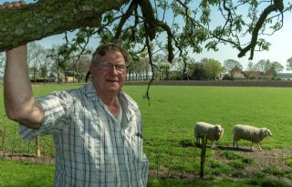 De+Groote+wil+discussie+over+wolf+in+Drenthe