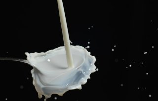 Melkprijzen+maart+redelijk+stabiel