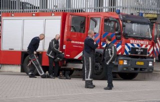 Drie+koeien+dood+door+mestgassen+Wijk+en+Aalburg
