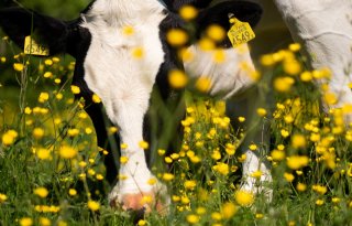 Verlies+van+biodiversiteit+ligt+niet+alleen+aan+boer+en+tuinder