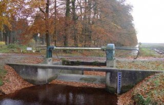 Raad+van+State+steunt+vernatting+Oude+Willem