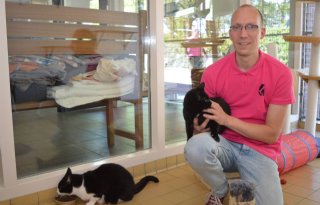 Drents+Dierentehuis+helpt+boer+met+kattenprobleem