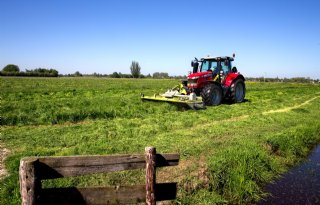 Kwaliteit+gras+super%2C+opbrengst+wisselend
