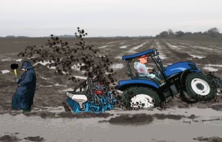 Vocht+maakt+verschillen+in+zaaidatum+mais+groot