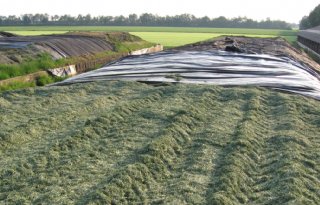 Het+verbeteren+van+de+kwaliteit+van+uw+ruwvoer
