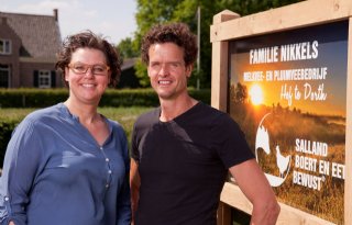 Kippen+en+koeien+lopen+samen+in+de+wei