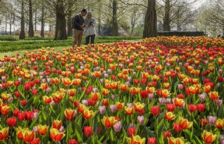 Keukenhof+krijgt+van+bezoeker+een+9