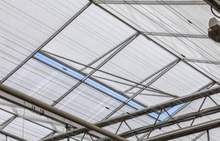 Alle+Limburgers+profiteren+van+meer+ruimte+voor+tuinbouw