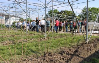 Proeftuin+Randwijk+breidt+uit+met+kleinfruit+en+een+bijenstal
