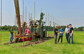Met+gras+en+bomen+eten+van+twee+wallen
