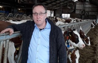 Melkveehouder+blij+met+hogere+fosfaatreferentie+na+voerproef