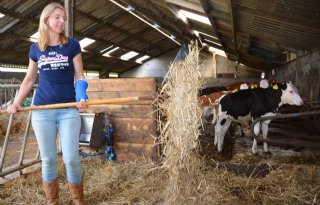 Online+cursus+jongveeopfok+werpt+vruchten+af