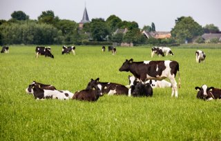 Schouten%3A+boer+zijn+betekent+omgaan+met+teleurstellingen