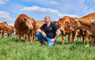 Natuurvlees+Crole+staat+op+de+kaart