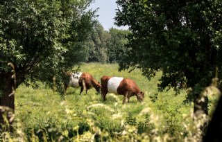 Hoge+opbrengst+kan+bij+volop+biodiversiteit
