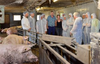 Eerste+Koreaanse+varkenshouders+op+cursus