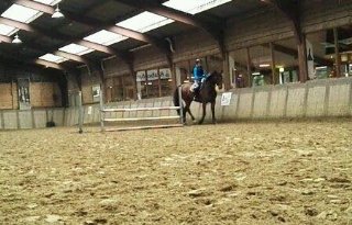 Toch+droes+op+stal+Mansour+Arnhem