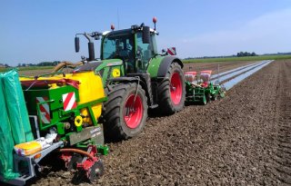 Warmte+geeft+mais+extra+groeispurt+bij+start