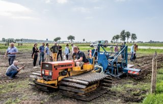 Opening+proefvelden+met+planten+lisdodden