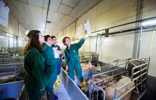 Geslaagde+eerste+%27Boeren+van+Nederweert+Dag%27
