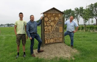 Bee+Deal+helpt+leefomgeving+bijen+te+verbeteren