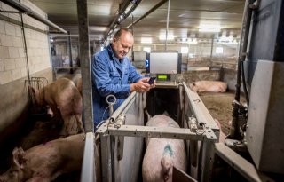 Elshof+investeert+in+automatisch+voeren+zeugen