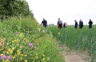 GreenBase+vergroot+biodiversiteit+Haarlemmermeer