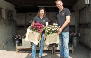 Telers+gooien+het+over+andere+boeg+na+hagelstorm