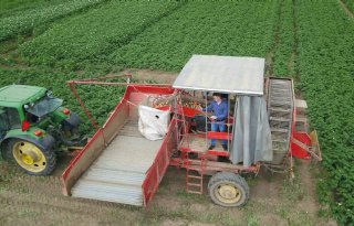 Tiener+verkoopt+online+aardappelen